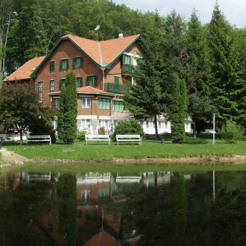 Bed & Breakfast Sebesviz Panzio *