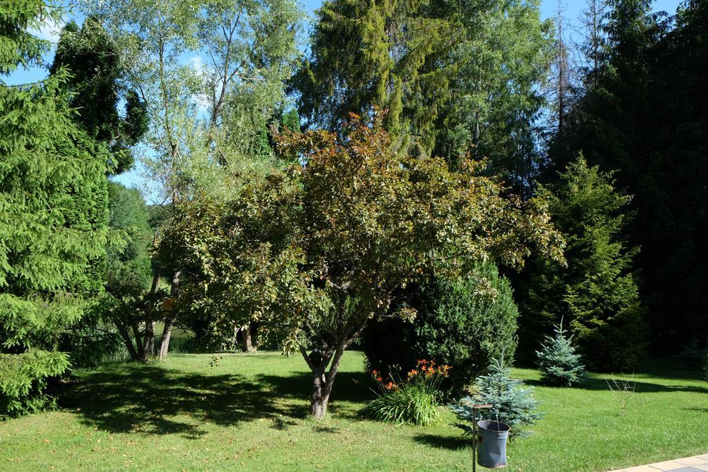 Sebesviz Panzio Bed & Breakfast