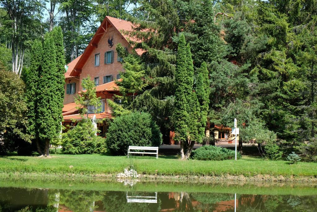 Sebesviz Panzio Bed & Breakfast *